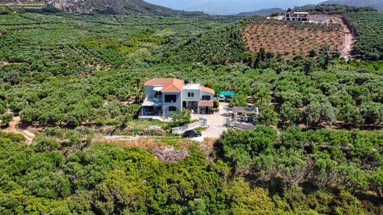 Venizelos Studios Platanés Esterno foto